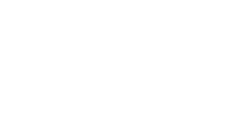 FINO logo