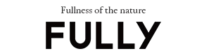 FULLY logo